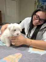 processed/33de193e-384d-4cee-a72e-db730817612e/facility/b52cbcfc-823e-48cb-aba9-cceeed3c58de