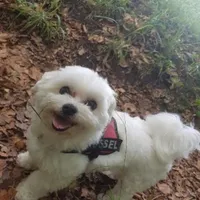 processed/33de193e-384d-4cee-a72e-db730817612e/facility/bed72bd5-4a49-4cb5-8316-0e022a817016