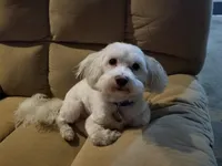 processed/33de193e-384d-4cee-a72e-db730817612e/facility/beec91d3-b863-4bf5-bfd6-361b342c9ecb