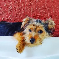 processed/33de193e-384d-4cee-a72e-db730817612e/facility/cb041d56-e65f-480f-a247-28bd423e7568