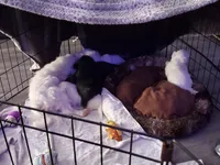 processed/33de193e-384d-4cee-a72e-db730817612e/facility/d28603b5-4459-4733-bf69-3569376adfc0