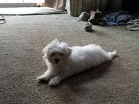 processed/33de193e-384d-4cee-a72e-db730817612e/facility/dec1764b-62fc-478d-ba2c-7bf20593e140