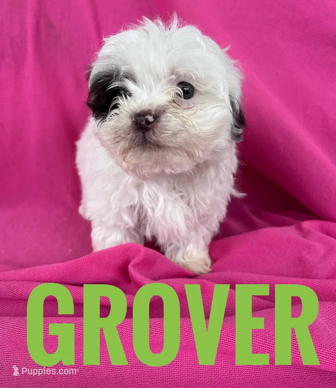 GROVER