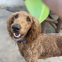 processed/340ea261-387e-4dec-89e6-cb7c63b24111/facility/34d2d393-cdc8-4a22-82a0-f25513942b9d