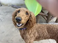 processed/340ea261-387e-4dec-89e6-cb7c63b24111/facility/34d2d393-cdc8-4a22-82a0-f25513942b9d