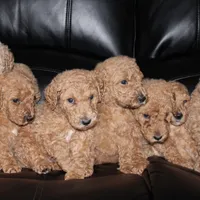 processed/340ea261-387e-4dec-89e6-cb7c63b24111/facility/5ea08c1e-3ce8-4e8b-8b40-72ef25327fc6