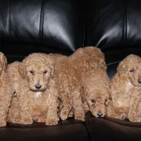 processed/340ea261-387e-4dec-89e6-cb7c63b24111/facility/a24309c5-b83a-43bf-b620-6c5bae379631