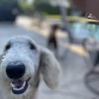 processed/340ea261-387e-4dec-89e6-cb7c63b24111/facility/a2ea7bc6-d99e-45ae-b544-ad4668761303