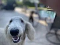 processed/340ea261-387e-4dec-89e6-cb7c63b24111/facility/a2ea7bc6-d99e-45ae-b544-ad4668761303