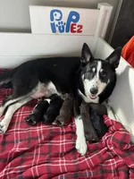 processed/340ebc65-1710-4594-b2f8-1945df969d56/listing/fd2e0bd2-619d-422f-a831-d08d1d760016/21d139a2-ee4f-4b9d-8da1-63244404a62a