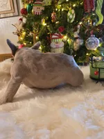 processed/341a1dbc-ecd0-489c-a56e-84cc7ea0a06f/listing/3142ceb6-b7ac-4317-a633-e45ea030ca4d/23b12f5a-9104-4f85-9f90-d4aca4be9cfe