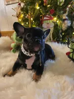 processed/341a1dbc-ecd0-489c-a56e-84cc7ea0a06f/listing/c89ccaa2-bd37-4b2e-8247-2fed13a8ef03/5df5cd36-fdeb-4dba-954d-34d1390ea396