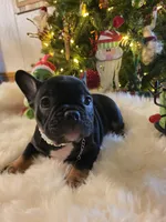 processed/341a1dbc-ecd0-489c-a56e-84cc7ea0a06f/listing/c89ccaa2-bd37-4b2e-8247-2fed13a8ef03/7a37391d-b873-4ea0-9178-81b93d60a208