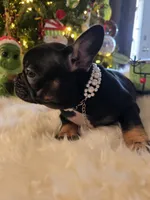 processed/341a1dbc-ecd0-489c-a56e-84cc7ea0a06f/listing/c89ccaa2-bd37-4b2e-8247-2fed13a8ef03/f98820d1-2250-4c35-adc9-590db0df370c