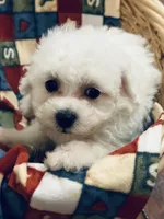 processed/341cf00e-ba50-4442-8250-eb512b4f9d93/listing/2706f8dd-311b-4b4d-bb5c-a33111615e35/7f5330f5-48b1-4277-8753-9eefa8ed603e