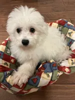 processed/341cf00e-ba50-4442-8250-eb512b4f9d93/listing/2706f8dd-311b-4b4d-bb5c-a33111615e35/83d36d58-7d0e-44a6-a118-fc31f2c75b42