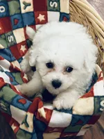 processed/341cf00e-ba50-4442-8250-eb512b4f9d93/listing/2706f8dd-311b-4b4d-bb5c-a33111615e35/9fb71aa4-e211-4e15-8463-bdedb2547ddf