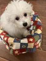 processed/341cf00e-ba50-4442-8250-eb512b4f9d93/listing/2706f8dd-311b-4b4d-bb5c-a33111615e35/ceac7f32-b0c0-4d43-a64d-35bcb1b2e43c