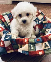 processed/341cf00e-ba50-4442-8250-eb512b4f9d93/listing/ddf56a18-de02-4f9d-828c-5c775848989a/3b783cc7-dbf8-4d70-9c79-8e6668e4db93