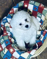 processed/341cf00e-ba50-4442-8250-eb512b4f9d93/listing/ddf56a18-de02-4f9d-828c-5c775848989a/4e33e1be-1bac-4e17-9aeb-5e08347f810b