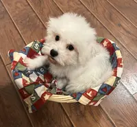 processed/341cf00e-ba50-4442-8250-eb512b4f9d93/listing/ddf56a18-de02-4f9d-828c-5c775848989a/815e360d-2250-4e85-a499-f29d654cbf59