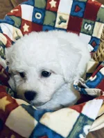 processed/341cf00e-ba50-4442-8250-eb512b4f9d93/listing/ddf56a18-de02-4f9d-828c-5c775848989a/f3355b9f-c5bf-4ae1-a6c2-ac029458b84b