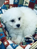 processed/341cf00e-ba50-4442-8250-eb512b4f9d93/listing/ddf56a18-de02-4f9d-828c-5c775848989a/f5246007-86c7-45c2-92c3-6e5011959441