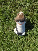 Autumn , a female Beagle for sale in Bethany, MO – 2 of 10