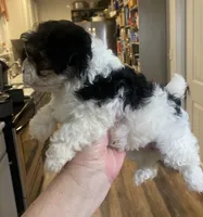 processed/341e76ca-dc87-4ed0-8d60-bf724e5169c1/listing/21d503ea-3ba9-4377-b91d-f1ef84fd11f9/2b86c2ff-3d12-4804-bb61-2785eff072ed