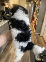 processed/341e76ca-dc87-4ed0-8d60-bf724e5169c1/listing/21d503ea-3ba9-4377-b91d-f1ef84fd11f9/ae10e0cb-bec5-4a91-b5a9-4e74feb2700a