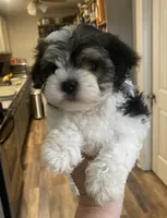 processed/341e76ca-dc87-4ed0-8d60-bf724e5169c1/listing/21d503ea-3ba9-4377-b91d-f1ef84fd11f9/c8ac8790-eed0-42e9-a37c-cf45d204a64a