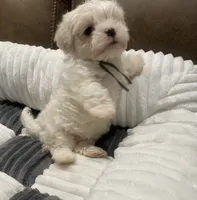 processed/341e76ca-dc87-4ed0-8d60-bf724e5169c1/listing/a9ded787-f104-4ce0-9942-e871f003ff9b/72252c60-dfba-47ec-aa9c-16e234f990b0