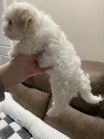 processed/341e76ca-dc87-4ed0-8d60-bf724e5169c1/listing/a9ded787-f104-4ce0-9942-e871f003ff9b/7b639e29-448e-4791-9b9d-b409c8fbe605