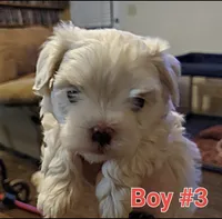 processed/341e76ca-dc87-4ed0-8d60-bf724e5169c1/listing/a9ded787-f104-4ce0-9942-e871f003ff9b/8f64da5c-4a87-4ed9-ba22-1b69c5a67c9f