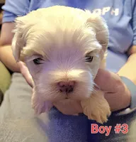 processed/341e76ca-dc87-4ed0-8d60-bf724e5169c1/listing/a9ded787-f104-4ce0-9942-e871f003ff9b/c08ef908-b7ae-48e7-8d73-1f43982793f5