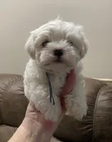 processed/341e76ca-dc87-4ed0-8d60-bf724e5169c1/listing/a9ded787-f104-4ce0-9942-e871f003ff9b/daecd384-cca6-4061-9fad-deecd01575fc