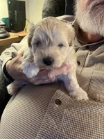 processed/341e76ca-dc87-4ed0-8d60-bf724e5169c1/listing/ccf8dcd3-ea18-4868-8224-7615c91d0127/6cabb08f-ee52-4d20-aef5-b55cf0c1374b