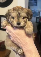 processed/341e76ca-dc87-4ed0-8d60-bf724e5169c1/listing/db07c7b5-fe74-4194-8b72-cb3b62d5a020/4090044c-1dbb-4440-84e7-6a867340cbad