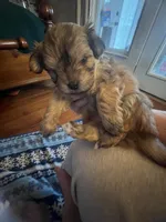 processed/341e76ca-dc87-4ed0-8d60-bf724e5169c1/listing/db07c7b5-fe74-4194-8b72-cb3b62d5a020/73dd971b-db75-486c-9030-3c1614b64c62