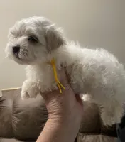 processed/341e76ca-dc87-4ed0-8d60-bf724e5169c1/listing/dcd8ec09-076a-476a-8d03-f3ec999d574a/2badf139-9e38-4817-af33-96c1633e80d0