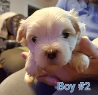 processed/341e76ca-dc87-4ed0-8d60-bf724e5169c1/listing/dcd8ec09-076a-476a-8d03-f3ec999d574a/599e6b48-067c-4e1b-8c22-70450847166f