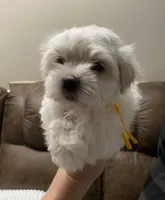 processed/341e76ca-dc87-4ed0-8d60-bf724e5169c1/listing/dcd8ec09-076a-476a-8d03-f3ec999d574a/8295717a-8280-4649-ba76-f3211438f9ea