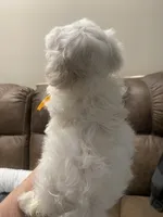 processed/341e76ca-dc87-4ed0-8d60-bf724e5169c1/listing/dcd8ec09-076a-476a-8d03-f3ec999d574a/daf354fd-1797-4599-9b73-6ea2d154c03d