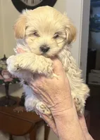 processed/341e76ca-dc87-4ed0-8d60-bf724e5169c1/listing/e5b6ce35-a954-4b50-9b2e-893535255f23/153f0b7c-bec2-45eb-bf61-711dddbc1c04