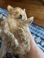 processed/341e76ca-dc87-4ed0-8d60-bf724e5169c1/listing/e5b6ce35-a954-4b50-9b2e-893535255f23/1bfd6579-e6d5-4b56-b8c6-be757e319575