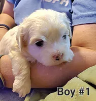 processed/341e76ca-dc87-4ed0-8d60-bf724e5169c1/listing/f5386a02-346a-4d9d-a37d-76b5f8a7b297/1df51be7-0f04-4c16-bc3c-d0ac00764f2a