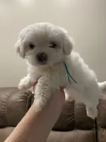 processed/341e76ca-dc87-4ed0-8d60-bf724e5169c1/listing/f5386a02-346a-4d9d-a37d-76b5f8a7b297/c1d2bd0d-f5e0-487b-9093-27dffd836779