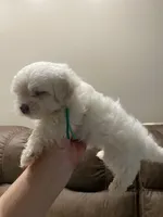 processed/341e76ca-dc87-4ed0-8d60-bf724e5169c1/listing/f5386a02-346a-4d9d-a37d-76b5f8a7b297/d1afe715-40be-4ab7-a3bc-b09b63dd1655