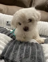 processed/341e76ca-dc87-4ed0-8d60-bf724e5169c1/listing/f5386a02-346a-4d9d-a37d-76b5f8a7b297/ec2a9107-8b7e-4ef2-b7e2-dc960b7f3793