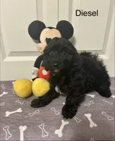 processed/34342f44-c0bb-4e60-894b-5e2e05823c2f/listing/192ea5a1-a4a0-481e-987f-6997789b97e4/489e4f19-a1ed-48d0-9627-e97774c9dc12